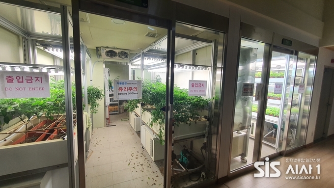 남극 장보고 과학기지에서 각종 채소를 재배하고 있고 있는 특수 온실이다.(사진=남극 장보고과학기지 월동대 지구물리대원 송준영 제공)