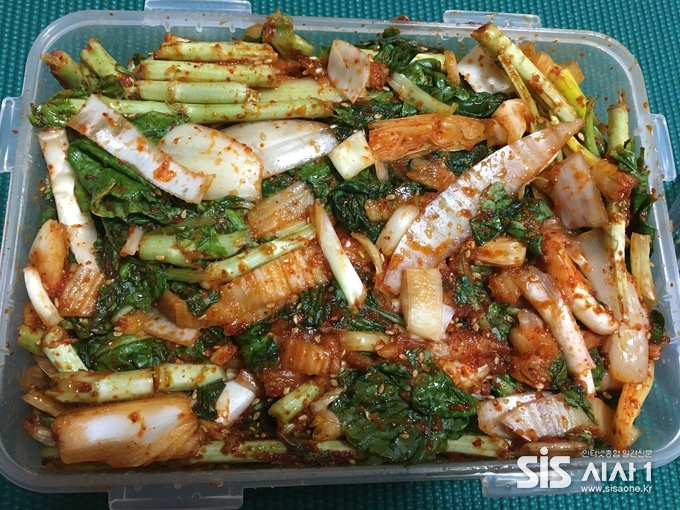 남극 장보고 과학기지에서 재배된 채소로 담근 김치다. (사진=남극 장보고과학기지 월동대 의료대원 신진호 제공)