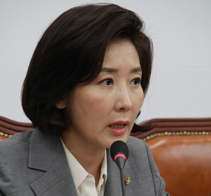 나경원 국민의힘 전 의원 (사진=시사1DB)