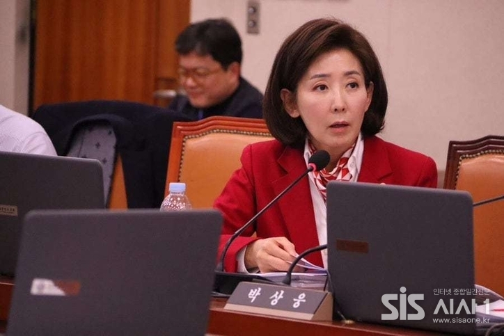 나경원 국민의힘 의원. / 나경원 의원 블로그