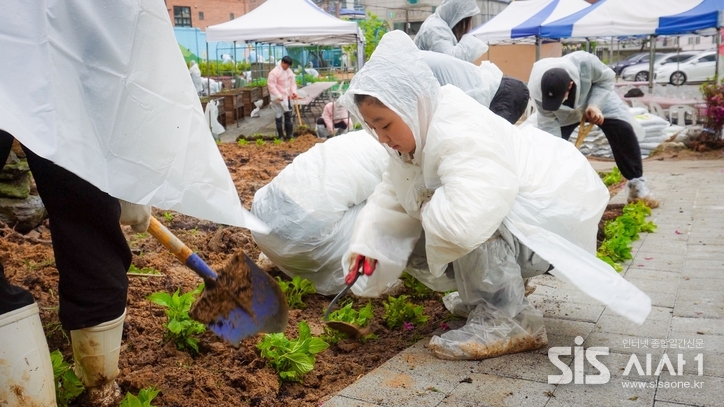 한국투자증권 임직원 봉사단이 나무심기 봉사활동을 진행하고 있다. (자료 = 한국투자증권)