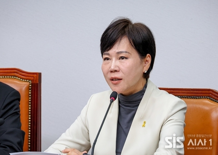 전현희 민주당 최고위원. / 민주당