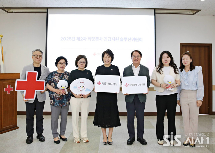 대한적십자사 서울지사는 2025년 상반기 서울시 위기가정 119가구에 총 2억여만 원을 전달했다. (자료 = 대한적십자사 서울지사)