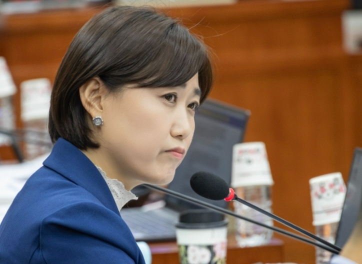백승아 더불어민주당 원내대변인. / 백승아 의원 블로그