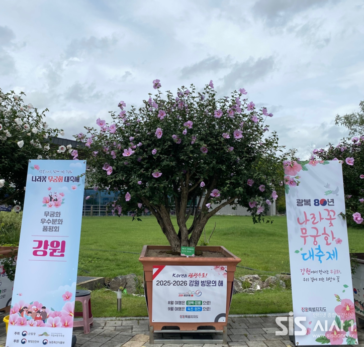강원자치도 출품작, 국무총리상 수상작. (자료=산림과학연구원)