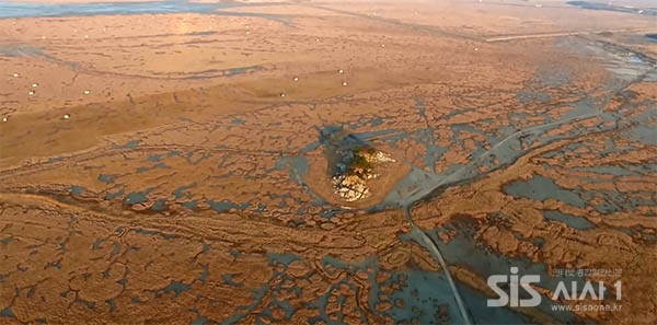 <사진출처=Drone show korea 동영상 캡처>